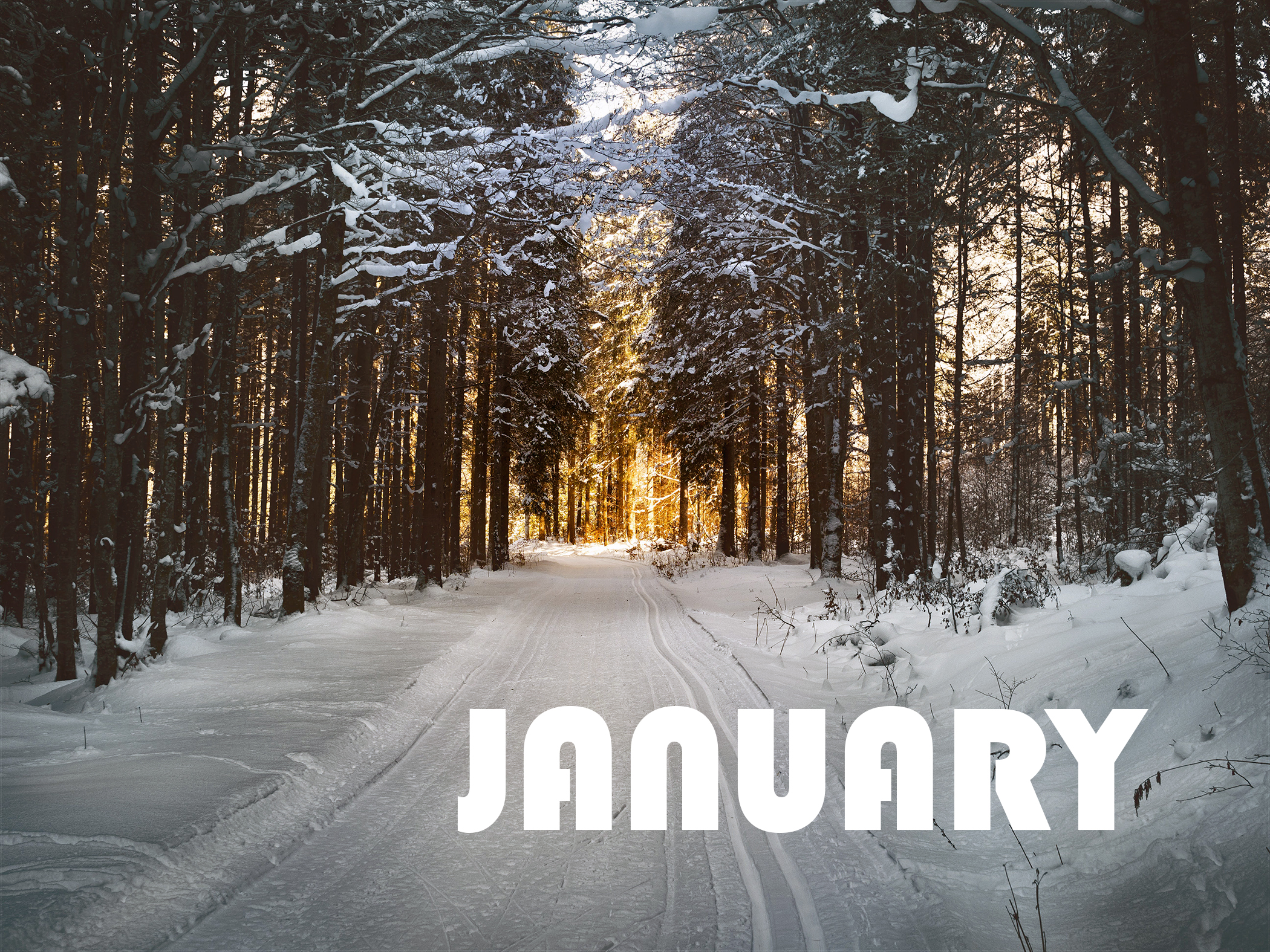 What’s On The Calendar: January 2024